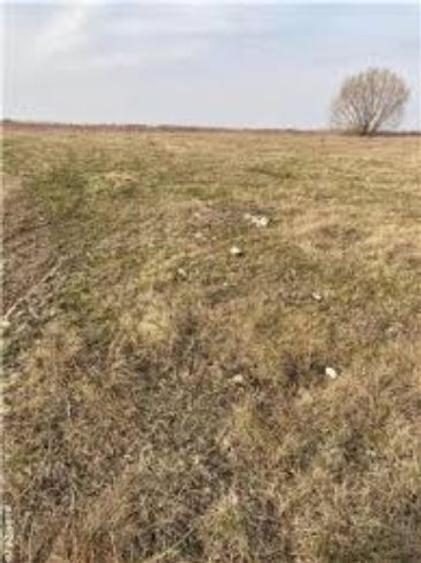 4,5 ha teren agricol la Goiesti judetul Dolj - 1