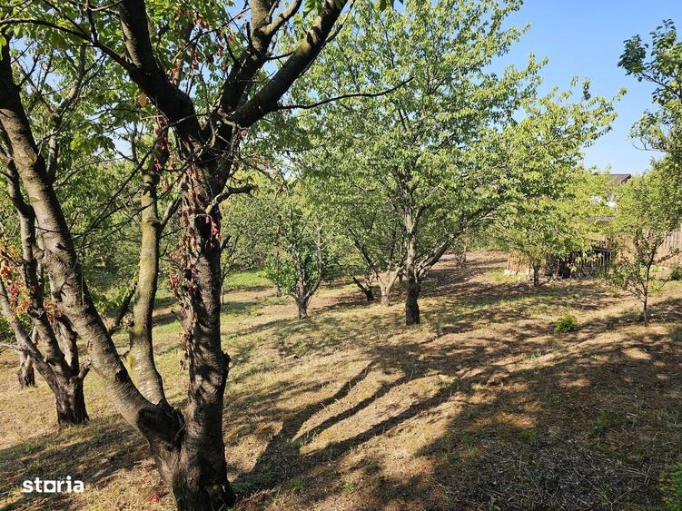 Casă cu 4 camere cu Teren 3000 Mp în Nicolina