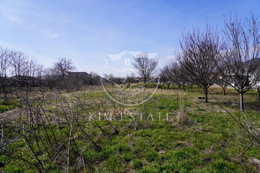 Teren Strada Mare Lumina Central - 9