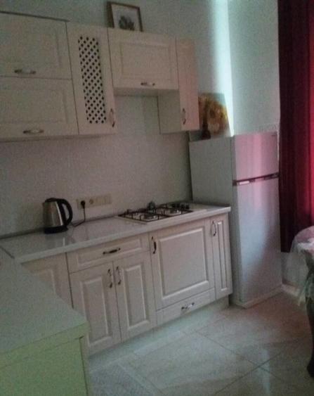 Apartament cu 2 camere de inchiriat zona Piata Romana - 2