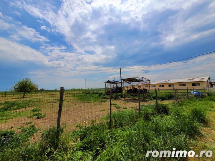 Domeniu, 9,5 ha, 25 KM de Timisoara - 15