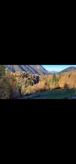 De vanzare 1000mp sat Pestera , comuna Moieciu - 7