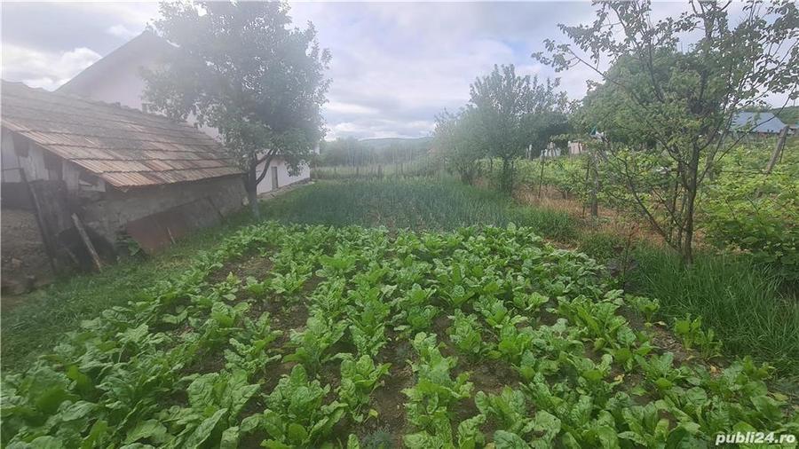 Casa + Grajd si Anexe de Vanzare - 7