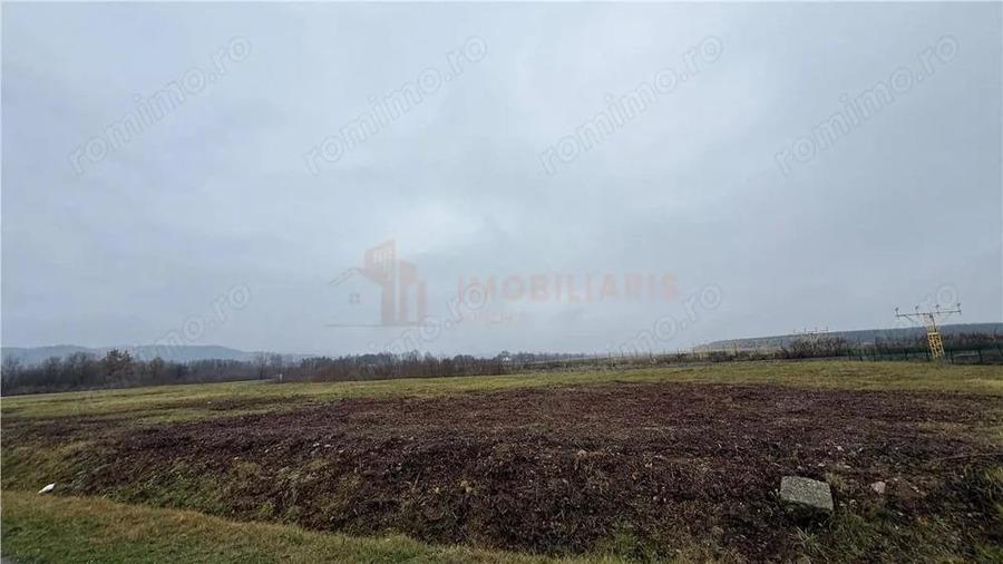 Parcele de teren industrial, Tautii Magheraus - 8