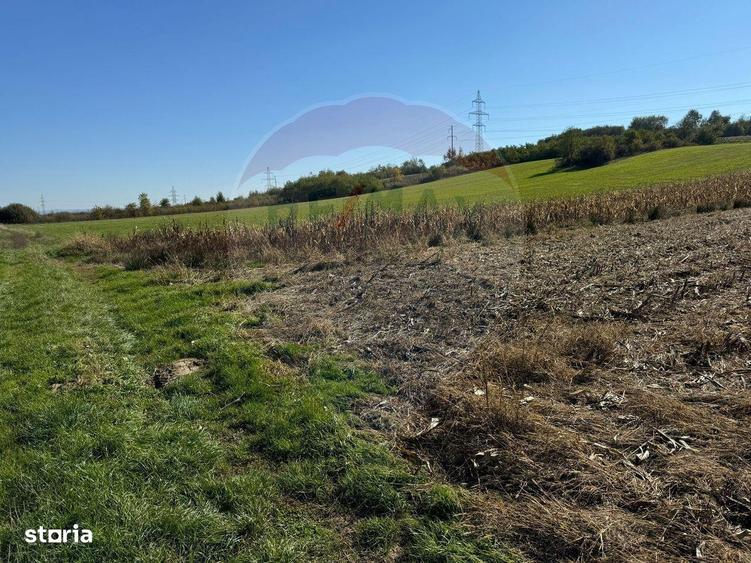 1.500 eur/ar - TEREN INTRAVILAN in Lapusel - 2