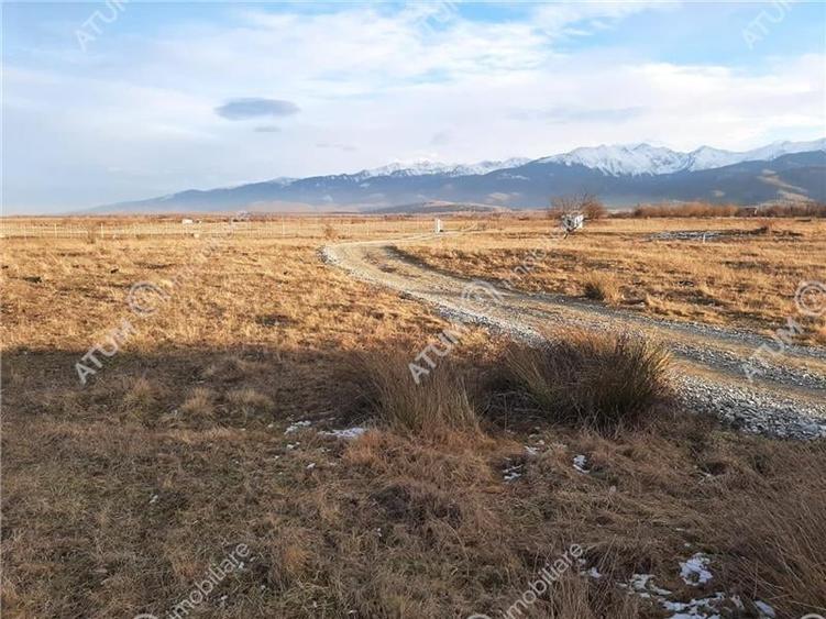 Teren extravilan 8400 mp de vanzare pe Valea Avrigului - 2