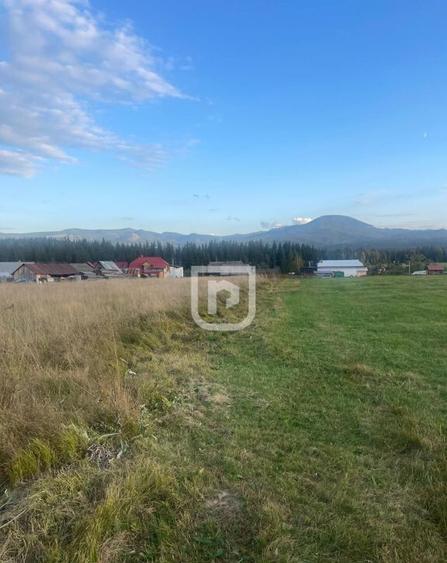 Teren intravilan Poiana Stampei ???? - 2