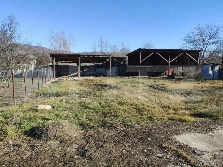 Proprietate Mixta cu Hala de Produc?ie ?i Locuin?a Deschidere DN71,- Fieni - 6