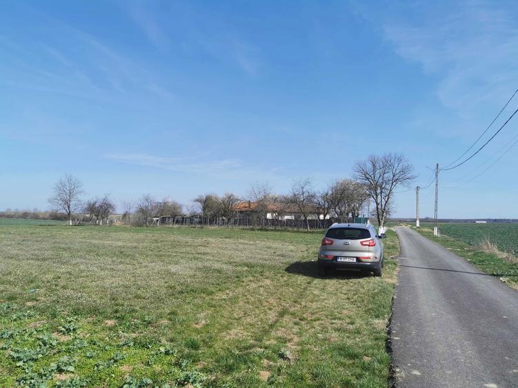 Teren de vanzare Piscu-Ciolpani 7000mp - 2