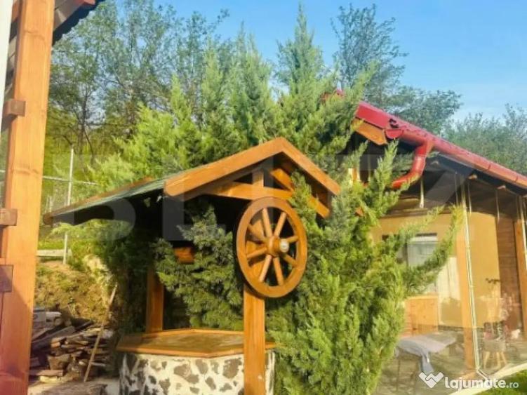 Casa de vanzare cu piscina - 11