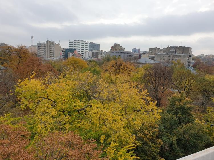 Vanzare apartament Gradina Icoanei - 4