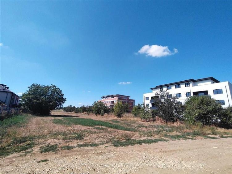 VANZARE TEREN INTRAVILAN  MAGURELE  2530 mp zona CODRULUI - 4