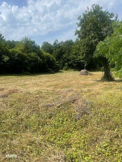 Teren extravilan de vanzare -faneata - 7