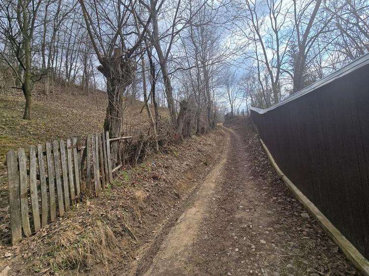 Oportunitate investitie teren  – Cerașu, Prahova | 3.485 mp | View spectaculos - 5