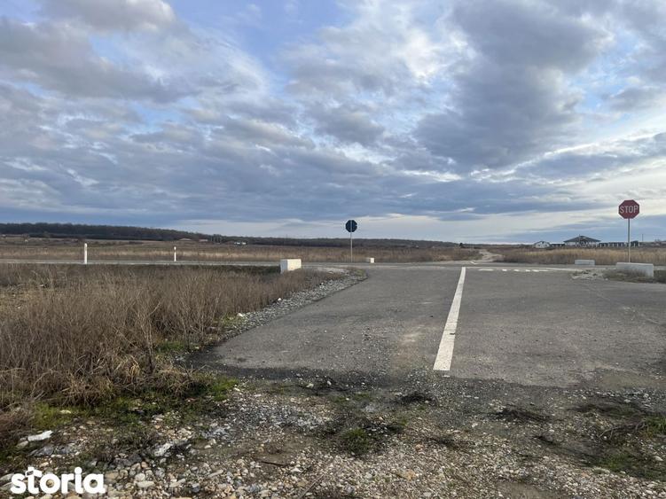 Teren 7481 mp, cu acces facil la Inelul Metropolitan - 2