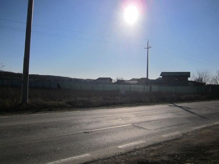 Teghes-Padurarului - 2