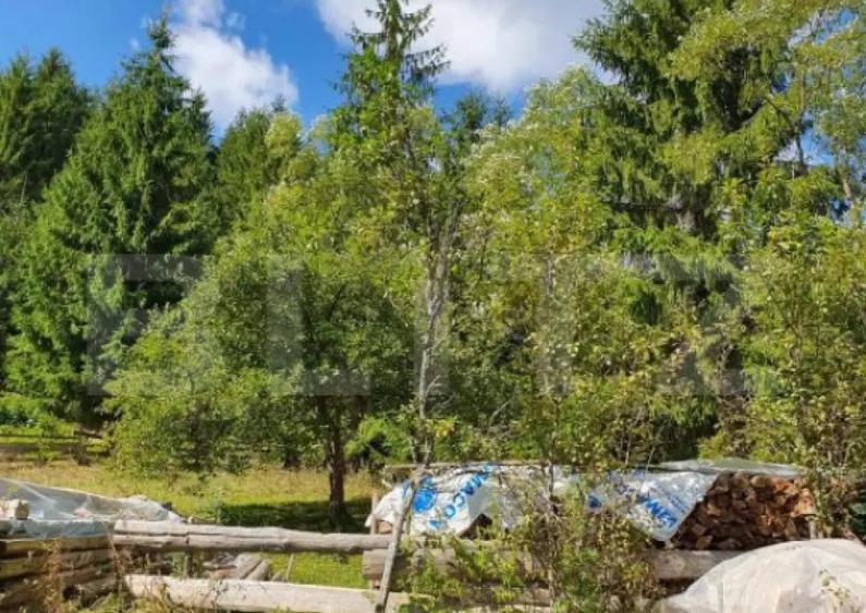 Teren intravilan 3015 mp, Garda de Sus, Ghetarul Scarisoara - 2