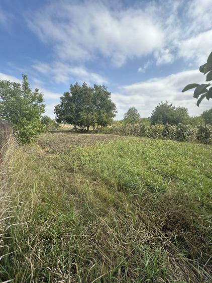 Teren intravilan de vanzare - 1655mp - Aroneanu - Iasi - 8