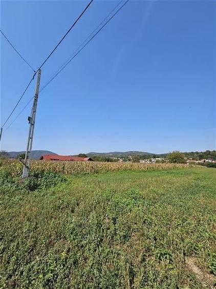 TEREN INTRAVILAN DE VANZARE IN OITUZ JUD. BACAU - 2