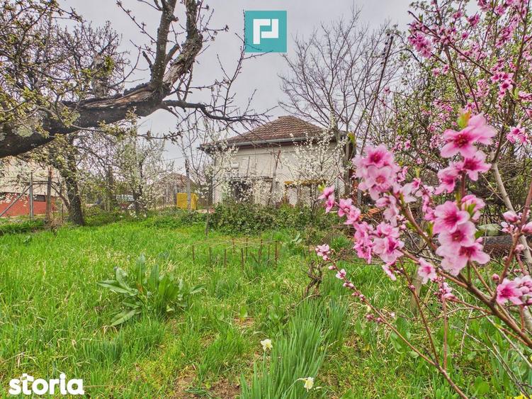Ieftin - Casa cu teren 842mp, zona Dealuri, Oradea - 1