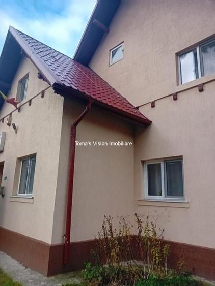 Vanzari Case / vile - 1