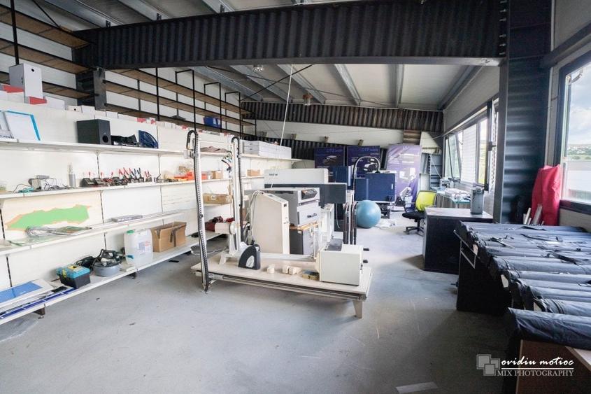 Hale in parcul Tetarom I - 6