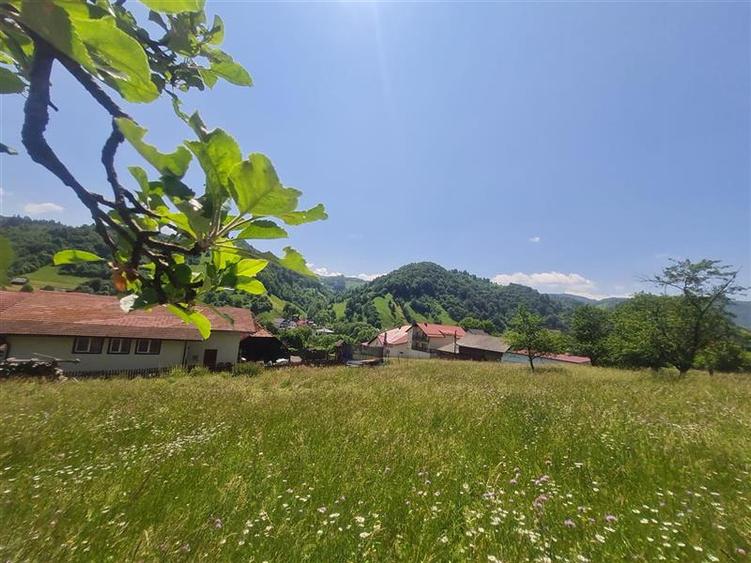 FILM! 1.450 mp intravilan, la DN, incantare peisagistica, Bran, Moieciu, Brasov - 42