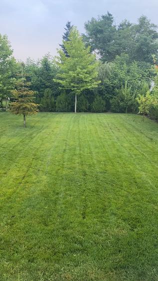 Vanzare casa Paradisul Verde Corbeanca - 9