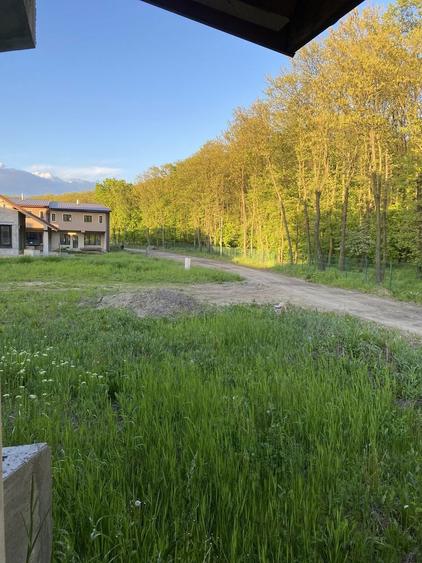 Vila in padurea Snagov si in rate! - 2