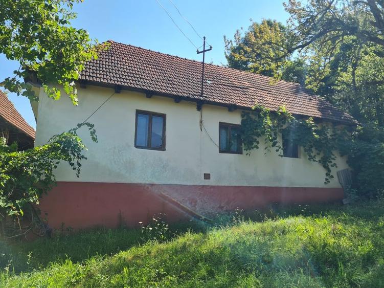 Casa de vanzare in Cristioru de Jos , jud. Bihor - 6