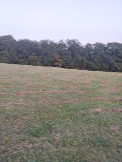 Vând teren extravilan  - 1