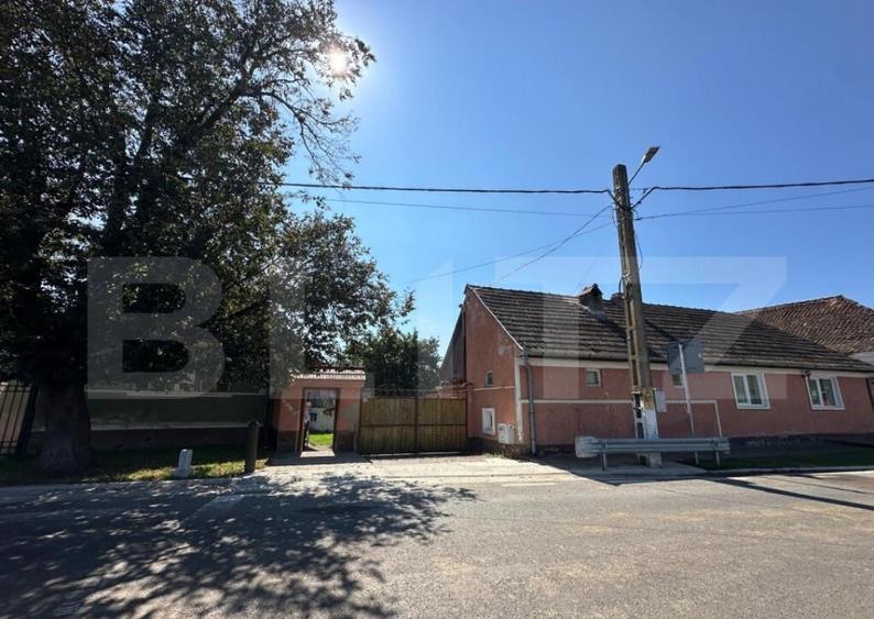 Casa saseasca de vanzare, curte, gradina, teren 3000 mp - Ji - 1