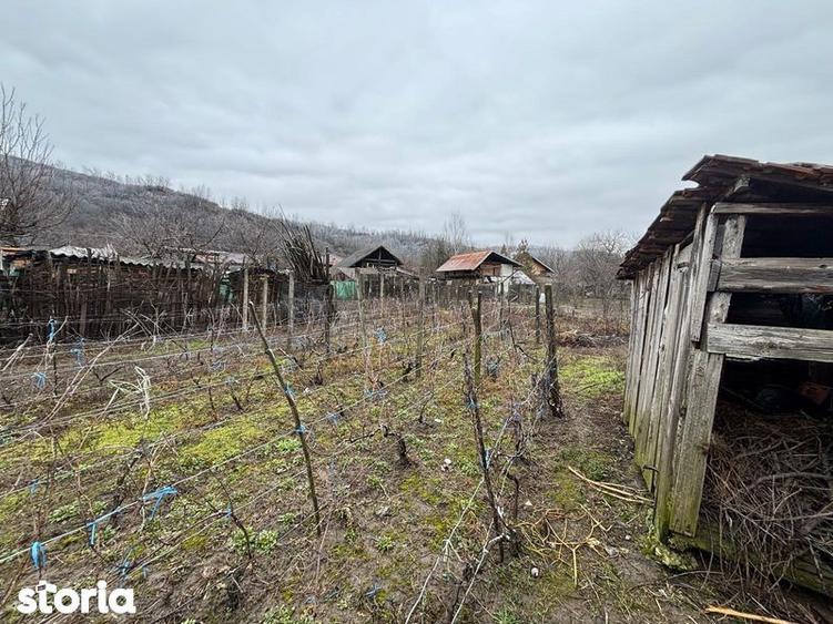 Teren+casa batraneasca+ teren agricol - 1