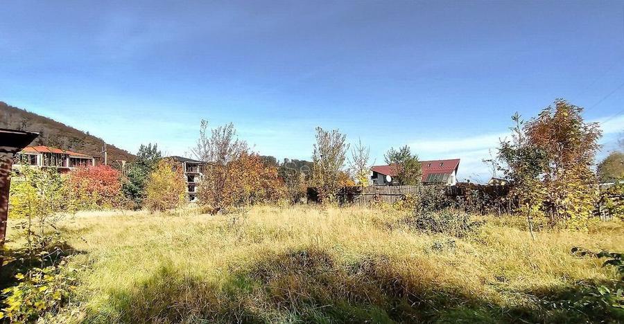 Teren Intravilan Bunloc - 16