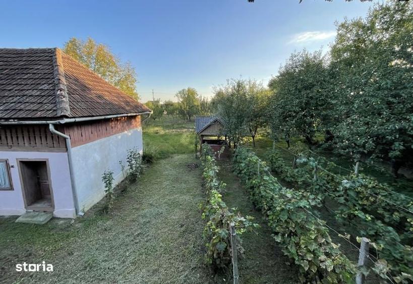 Casa si teren de vanzare zona centrala - oras Seini - 1