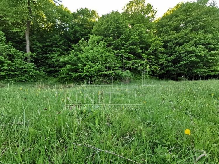 Oportunitate de Investiție - Teren de Basm in Bascov. DIRECT PROPRIETAR. - 10