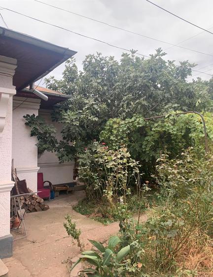 Voluntari  Vanzare Teren 1400mp cu casa batraneasca - 6