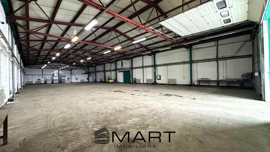 Hala 850mp zona industriala Vest - 4