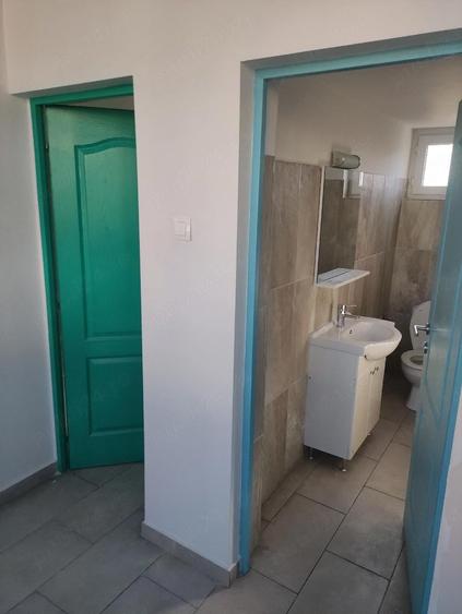 Spatiu comercial de inchiriat - 1