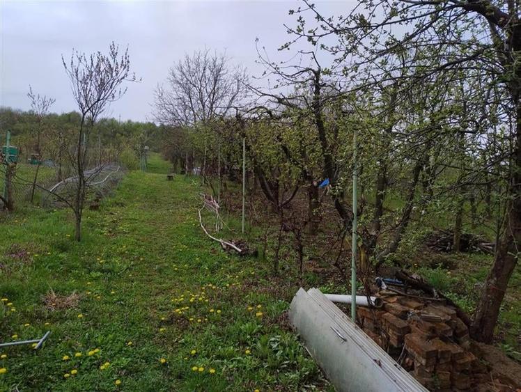 RECO Teren intravilan, Santelec - 6