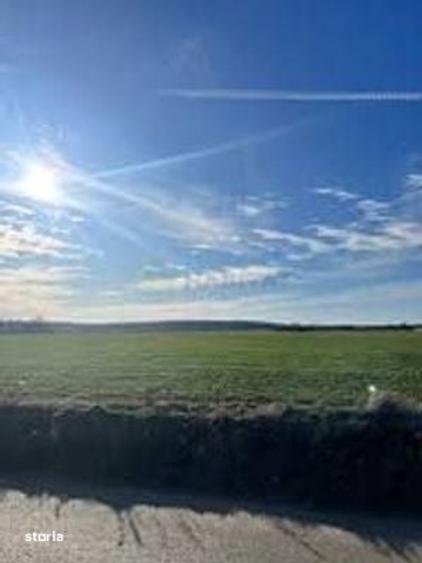 30700mp in Comuna Ciolpani | Extravilan - 5