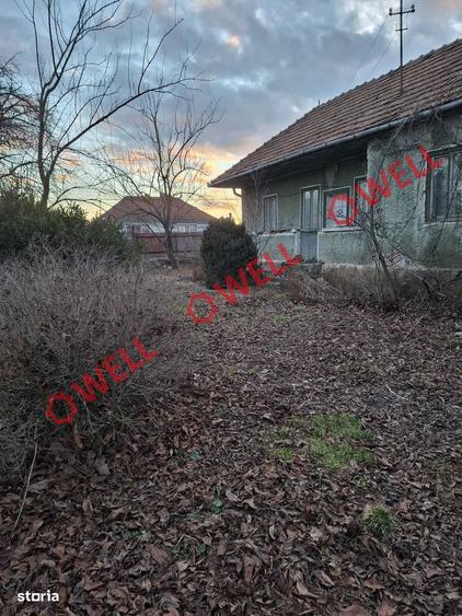 Teren intravilan de vanzare in Ruseni (Targu Secuiesc)! - 9