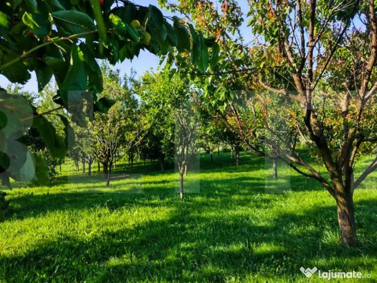 Casa individuala in apropiere de Cluj-Napoca si un teren gen - 3