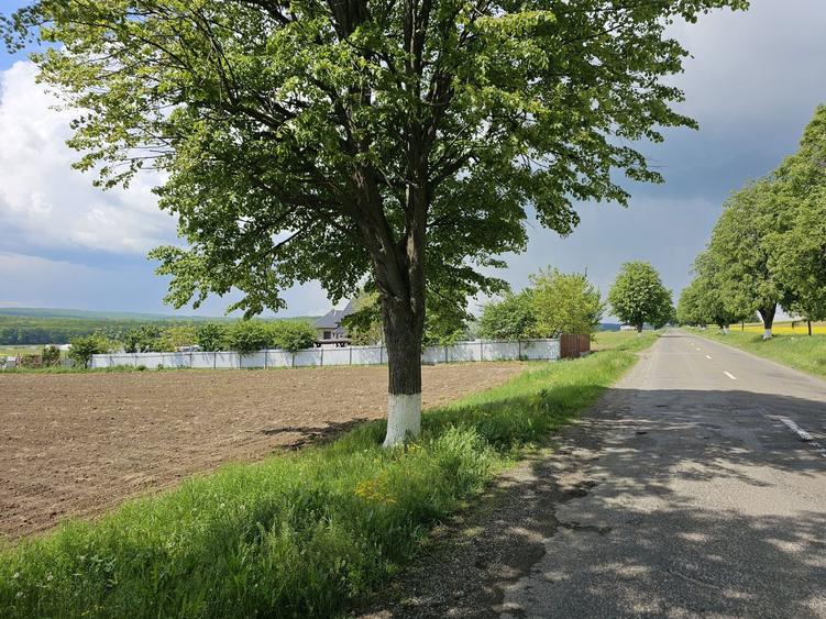 Vand 55,5 ari teren in Mitocu Dragomirnei - 4