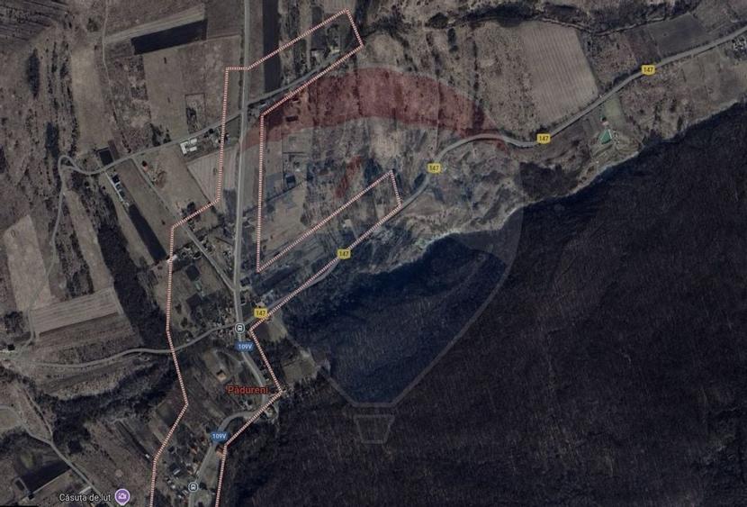 Teren Padureni (Chinteni), intravilan, parcelabil - 13