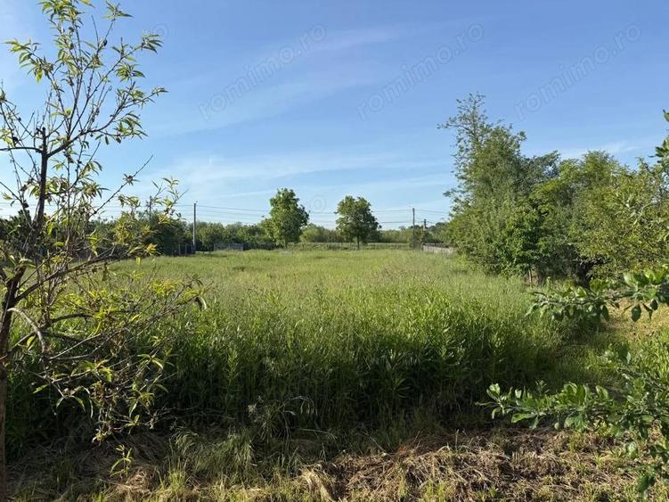 Teren de 3360 mp in exclusivitate, Sanmihaiu Roman, vedere la Bega - 3