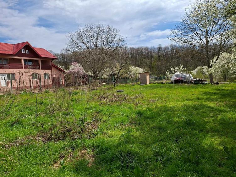 Teren intravilan premium de vanzare Snagov, Locatie exclusivista, fara riscuri - 2