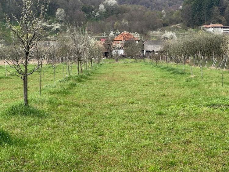 Teren intravilan! - 2