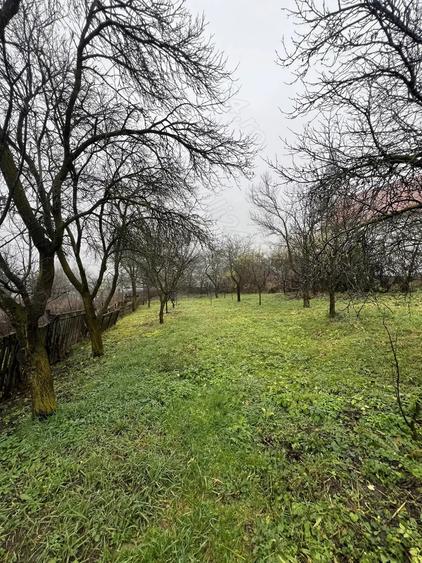 Casa de vanzare sat. Vechea com. Chinteni - 5