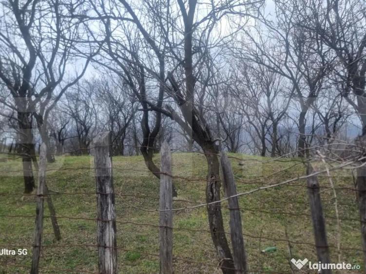 TEREN INTRAVILAN VEDERE PANORAMICA La 2 km de Manastirea CRA - 1